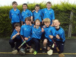 Hurling Blitz Success