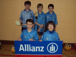 Allianz Hurling Blitz.