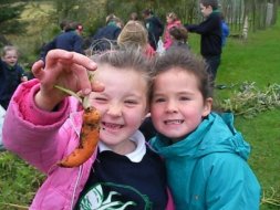 Harvest-time in Clea