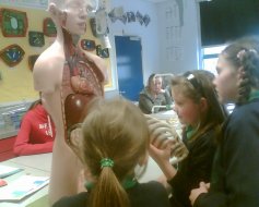 Primary 5 visit St. Patrick's High School