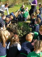 Getting ready for Spring