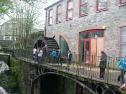 Primary 4&5 Field Trip