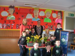 'Team Stephen' Presentation